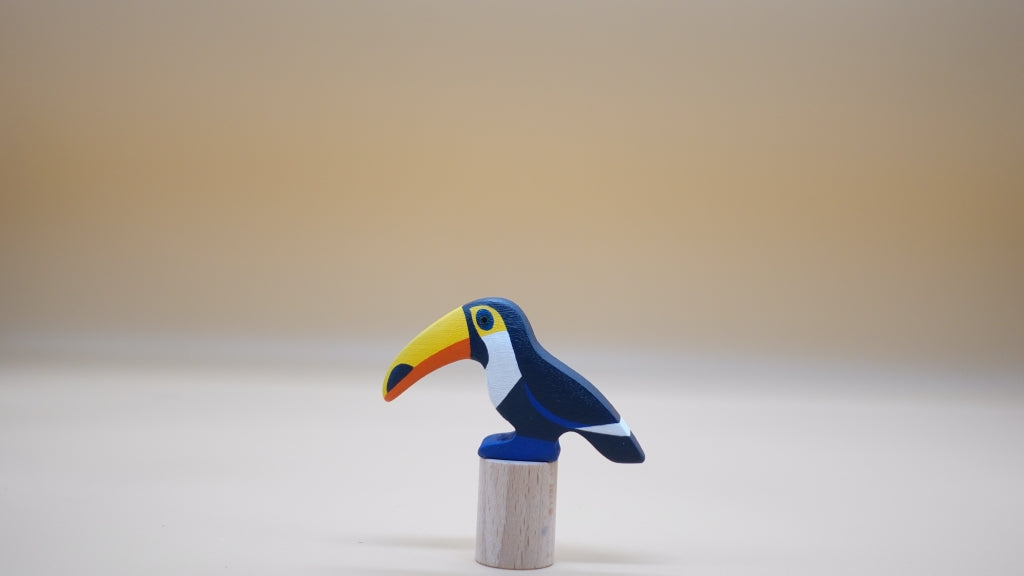 Toucan