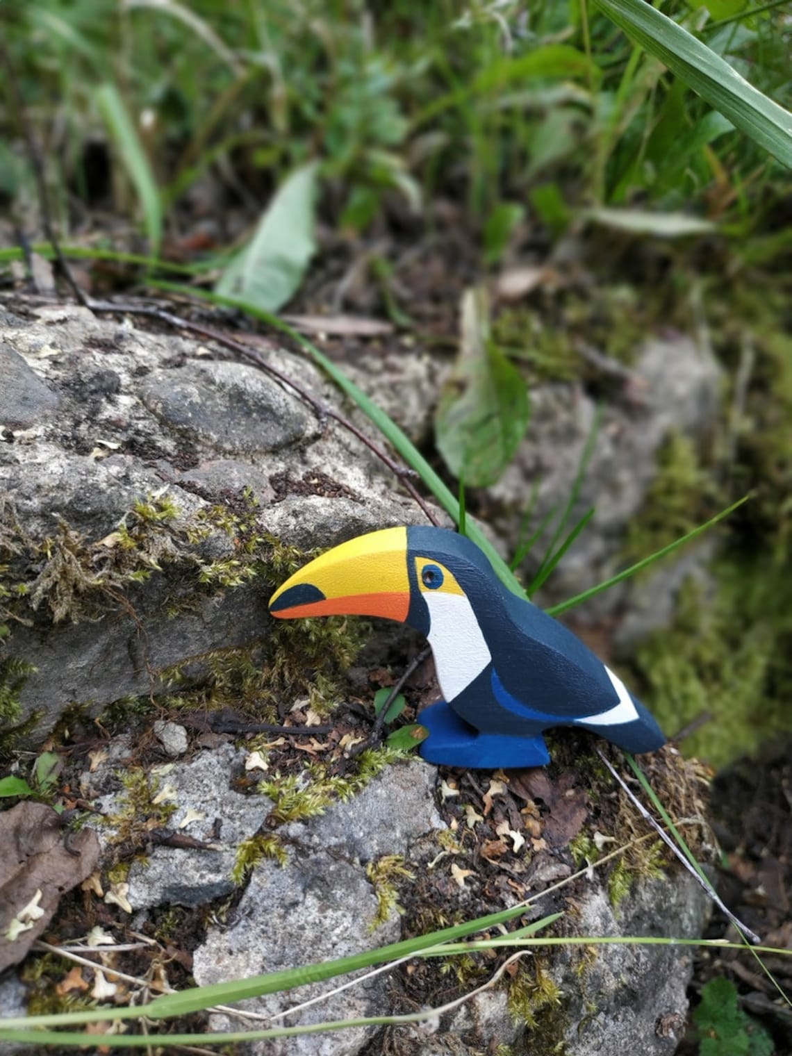 Toucan